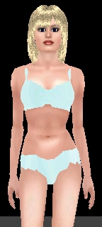Blue Bikini & Swimtop