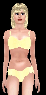 Lemon Bikini & Swimtop